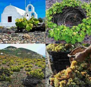 vinos de Santorini