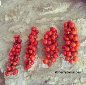 prodotti alimentari di Santorini